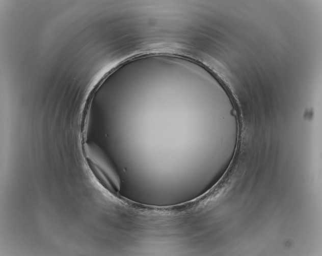 X0000091460941200709061754