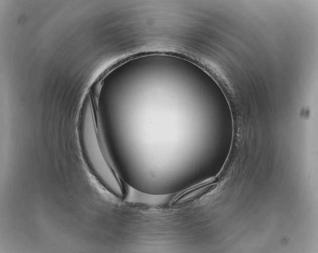 X0000091460942200709061754