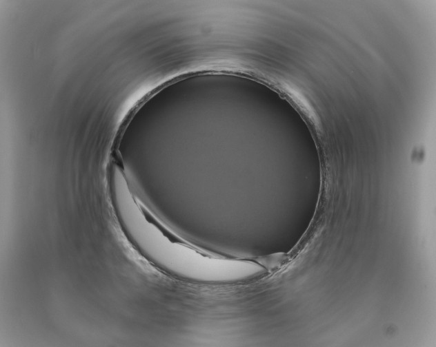 X0000091460944200709061754