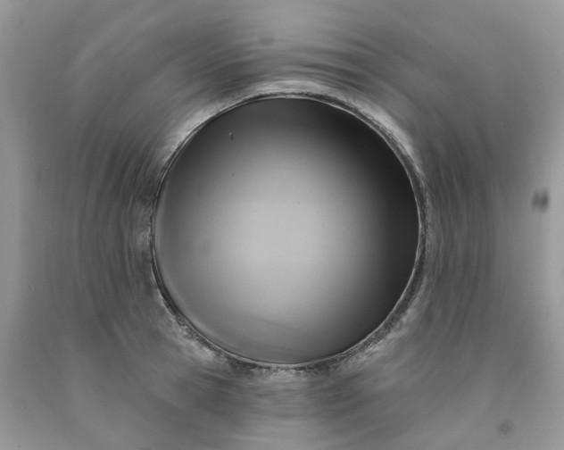 X0000091460945200709061754