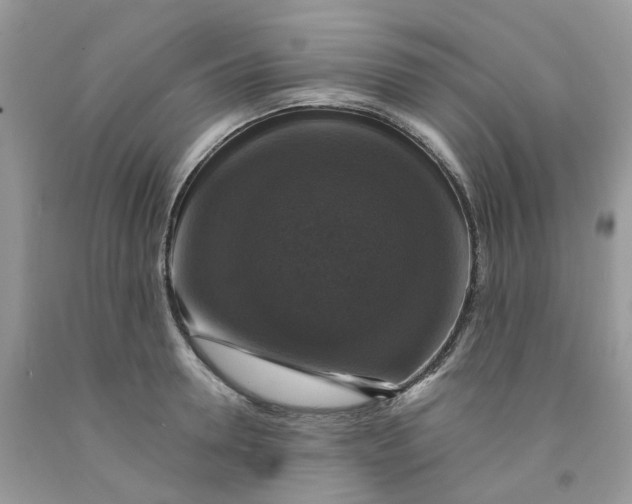 X0000091460946200709061754