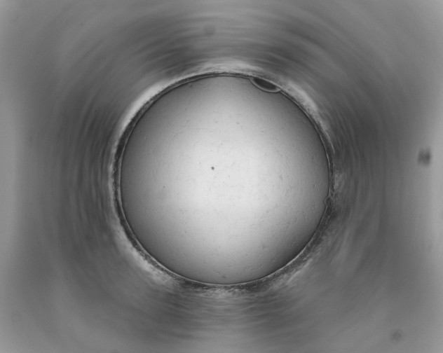 X0000091460947200709061754