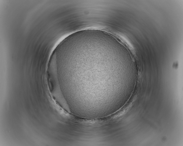 X0000091460948200709061754