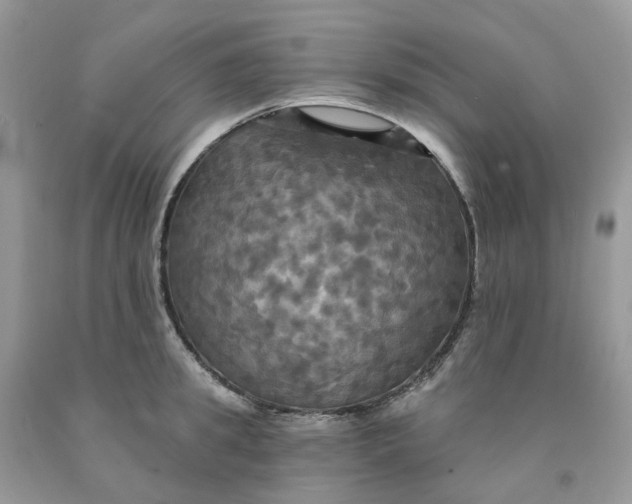 X0000091460949200709061754