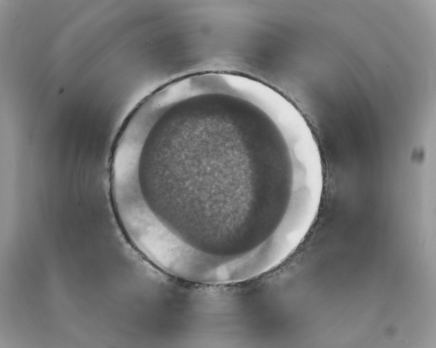 X0000091460950200709061754