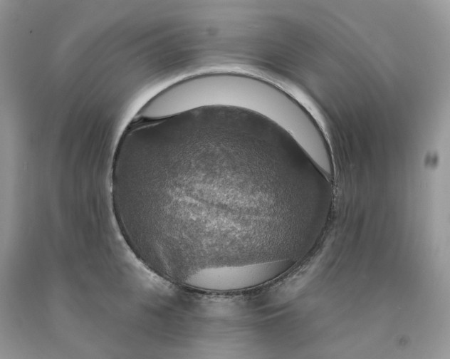 X0000091460951200709061754