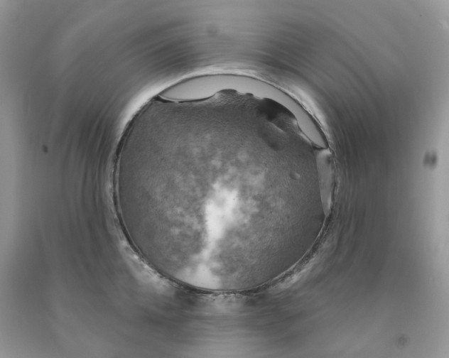 X0000091460952200709061754