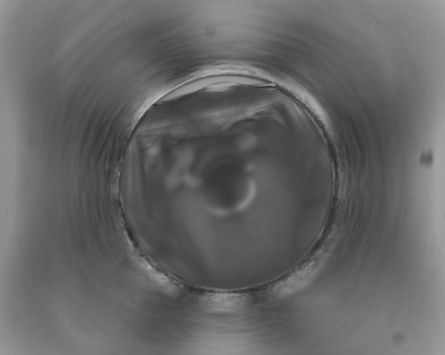 X0000091460953200709061754