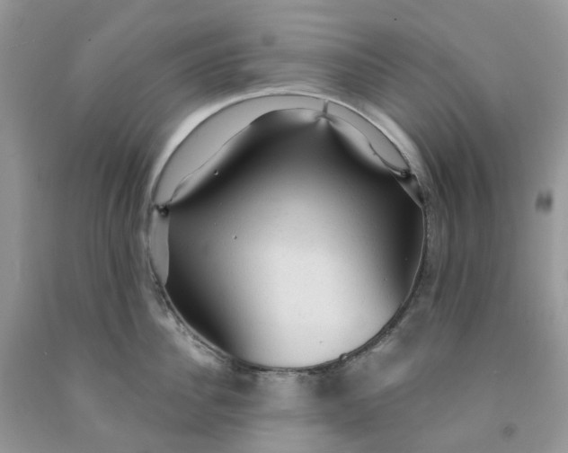 X0000091460956200709061754