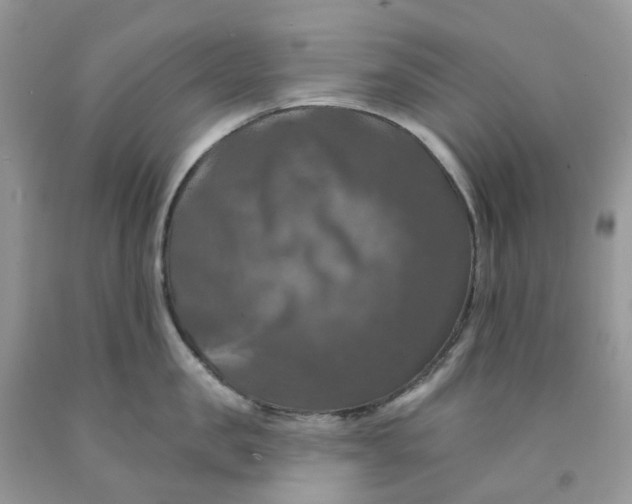 X0000091460957200709061754