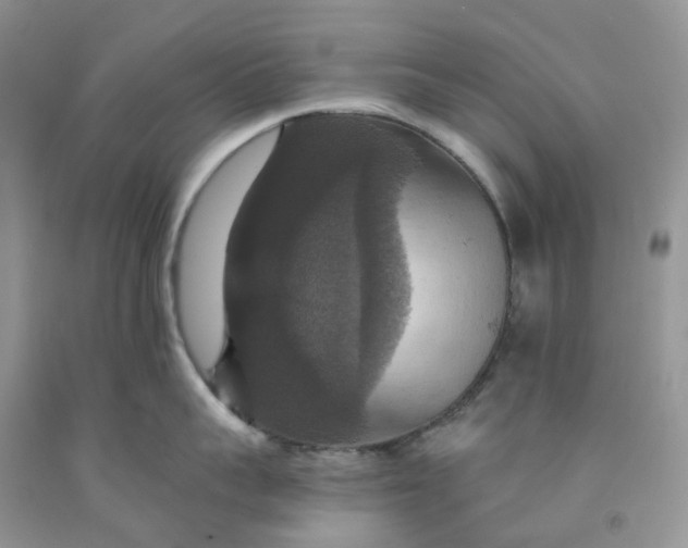 X0000091460959200709061754