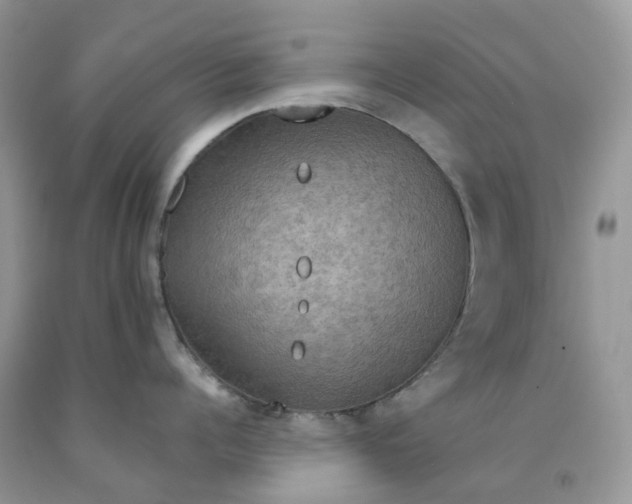 X0000091460960200709061754