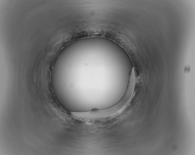 X0000091460961200709061753