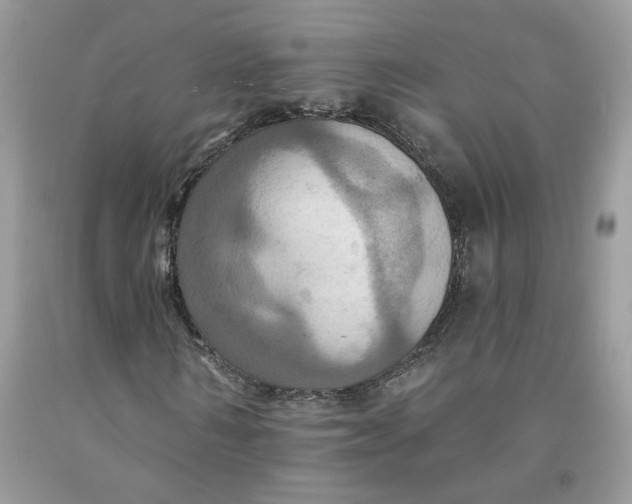 X0000091460962200709061753