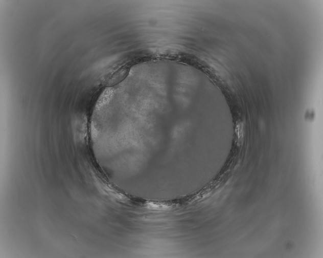 X0000091460963200709061753