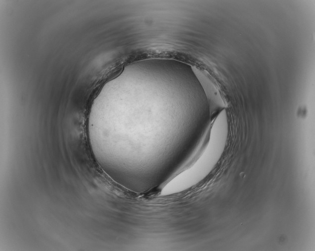 X0000091460964200709061753