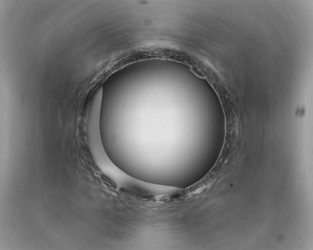 X0000091460965200709061753