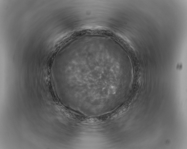 X0000091460966200709061753