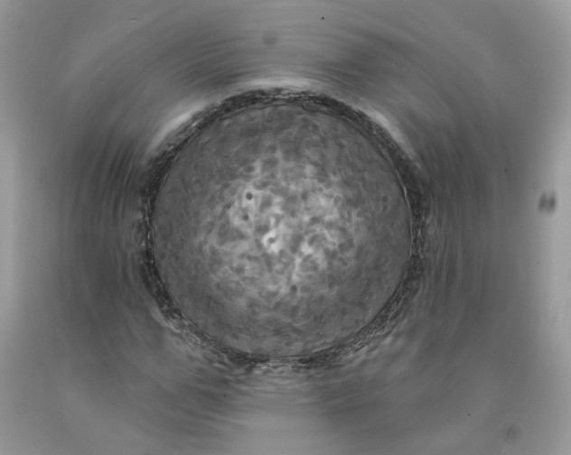 X0000091460967200709061753