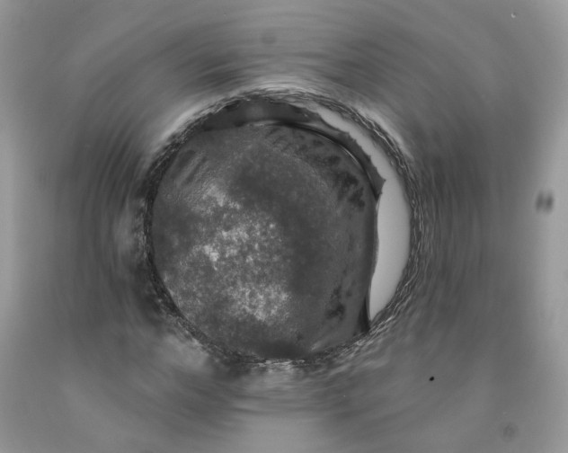 X0000091460968200709061753