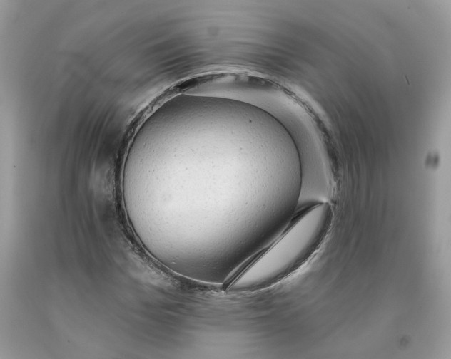 X0000091460969200709061753