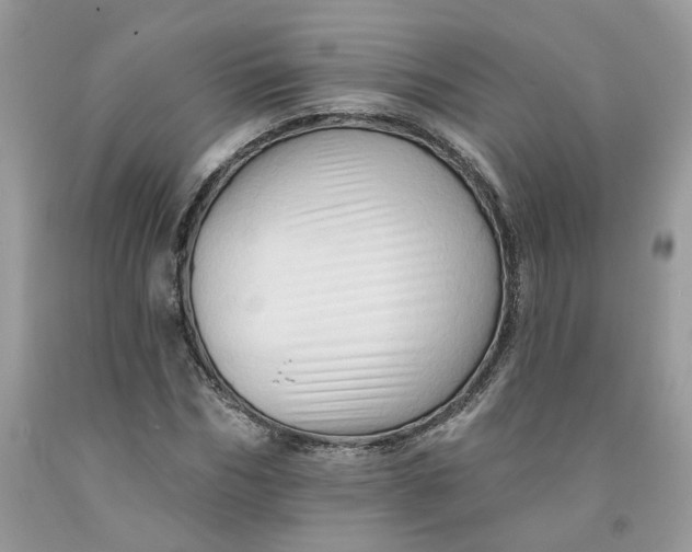 X0000091460970200709061753