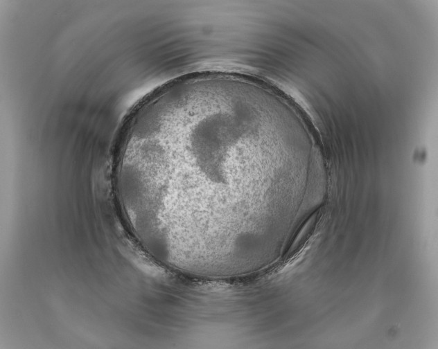 X0000091460971200709061753