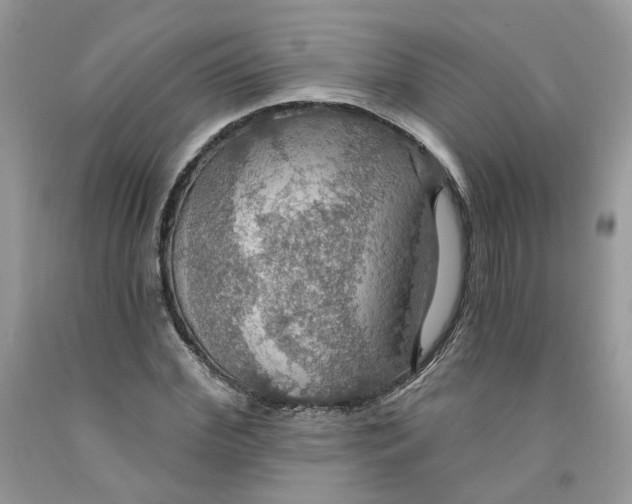 X0000091460972200709061753