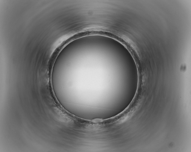 X0000091460973200709061753