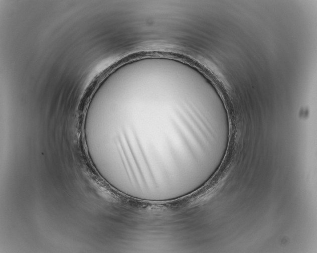 X0000091460974200709061753