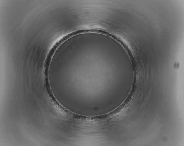 X0000091460975200709061753