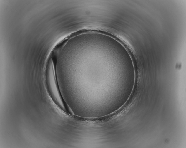 X0000091460976200709061753