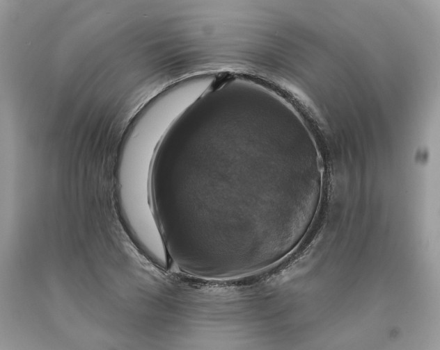 X0000091460977200709061753