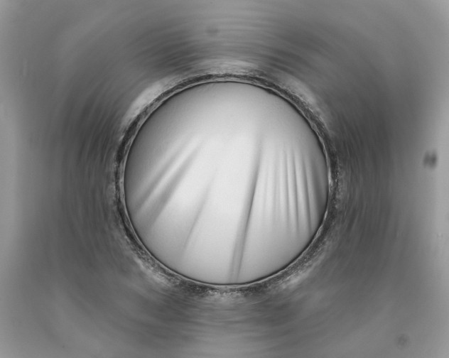 X0000091460978200709061753