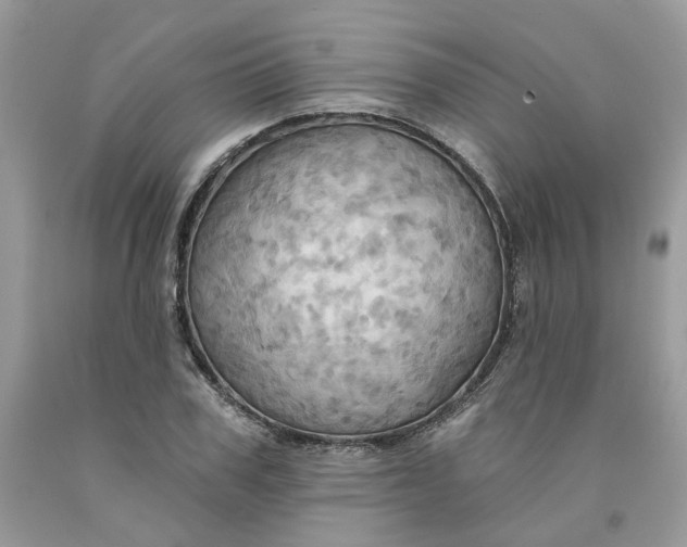 X0000091460979200709061753