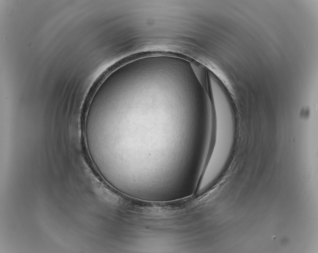 X0000091460980200709061753