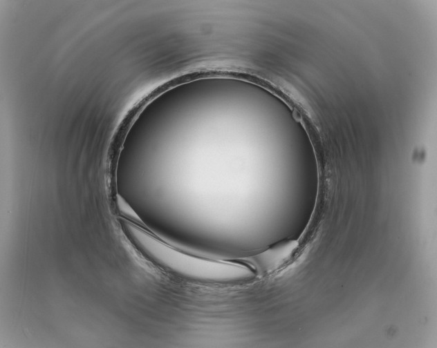 X0000091460981200709061753