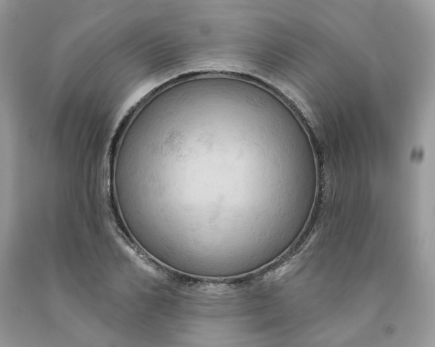 X0000091460982200709061753