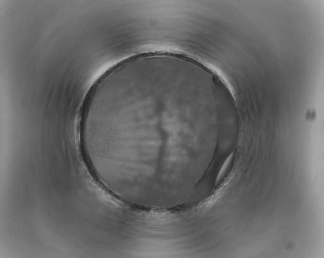 X0000091460983200709061753