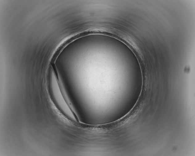 X0000091460984200709061753