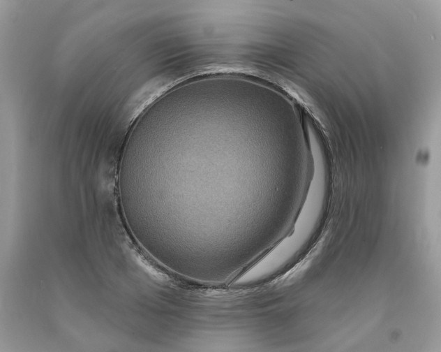 X0000091460985200709061753