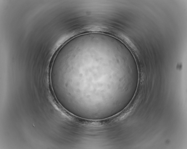 X0000091460986200709061753