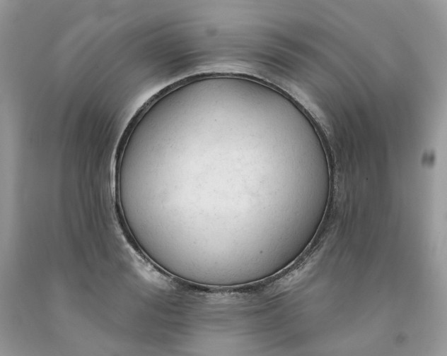 X0000091460988200709061753