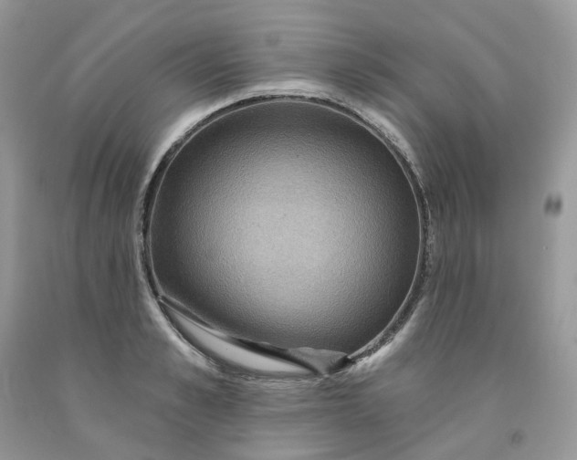 X0000091460989200709061753