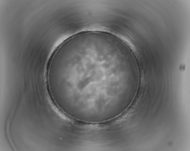 X0000091460990200709061753