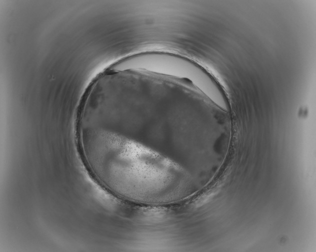 X0000091460991200709061753