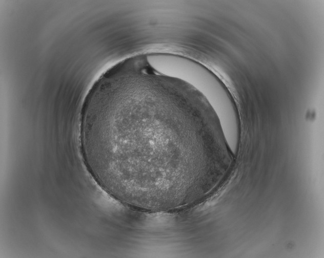 X0000091460992200709061753