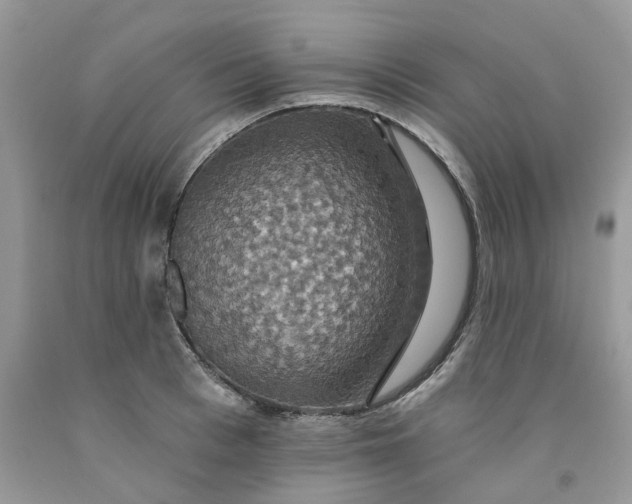 X0000091460993200709061753