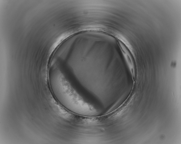 X0000091460994200709061753