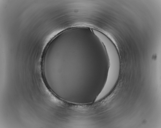 X0000091460995200709061753